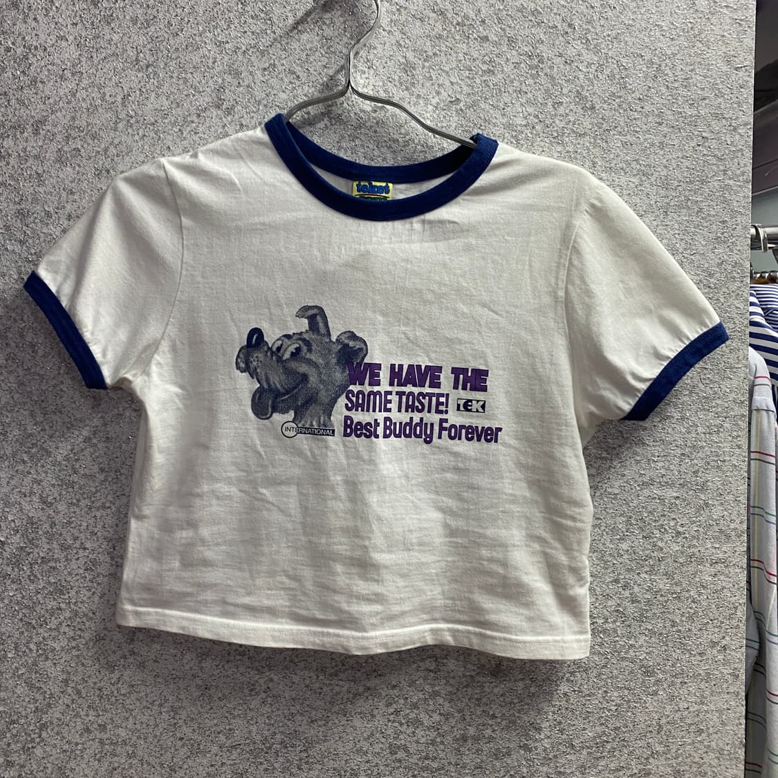 테켓 도그 레터링 링거티 B4675 상품이미지2