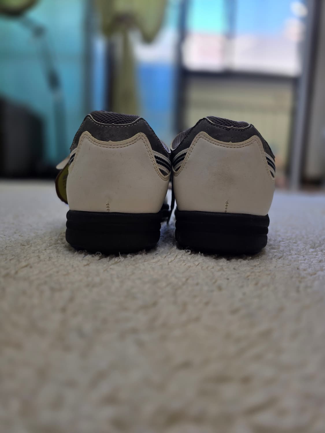 Masters 골프화 255mm 상품이미지6