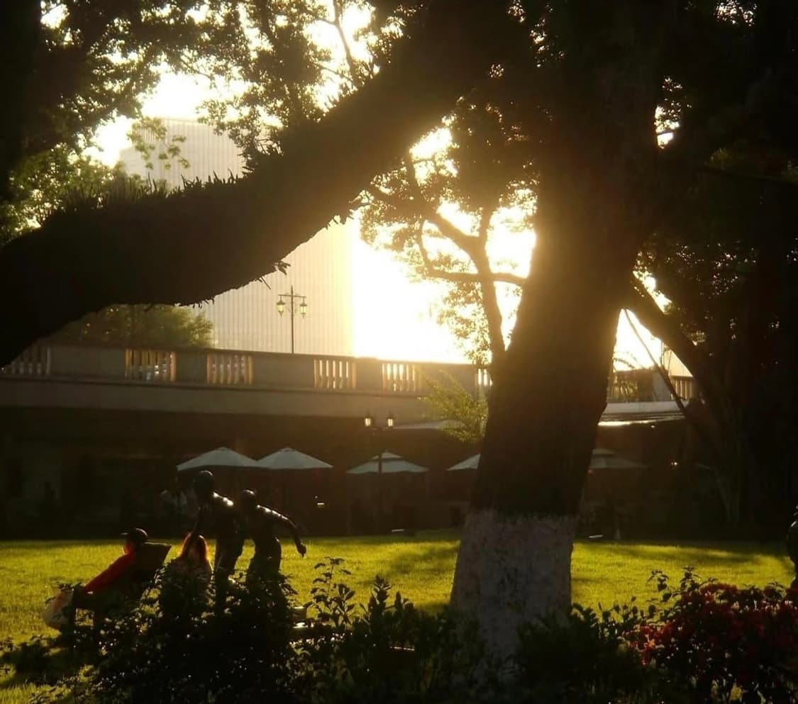 한글지원🤍쿨픽스 S2 실버 ✨ 슬림한 슬라이드 감성디카 🤍 상품이미지8