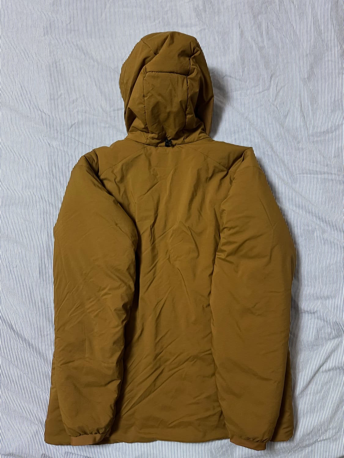 (SS급) 아크테릭스 아톰 AR 후디 렐릭 상품이미지3