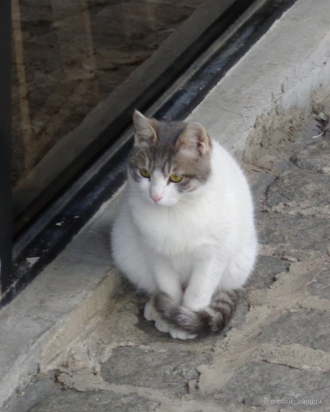 인물사진추천/뉴트럴톤작례✨SONY DSC-W730 소니 디카 카메라 상품이미지9