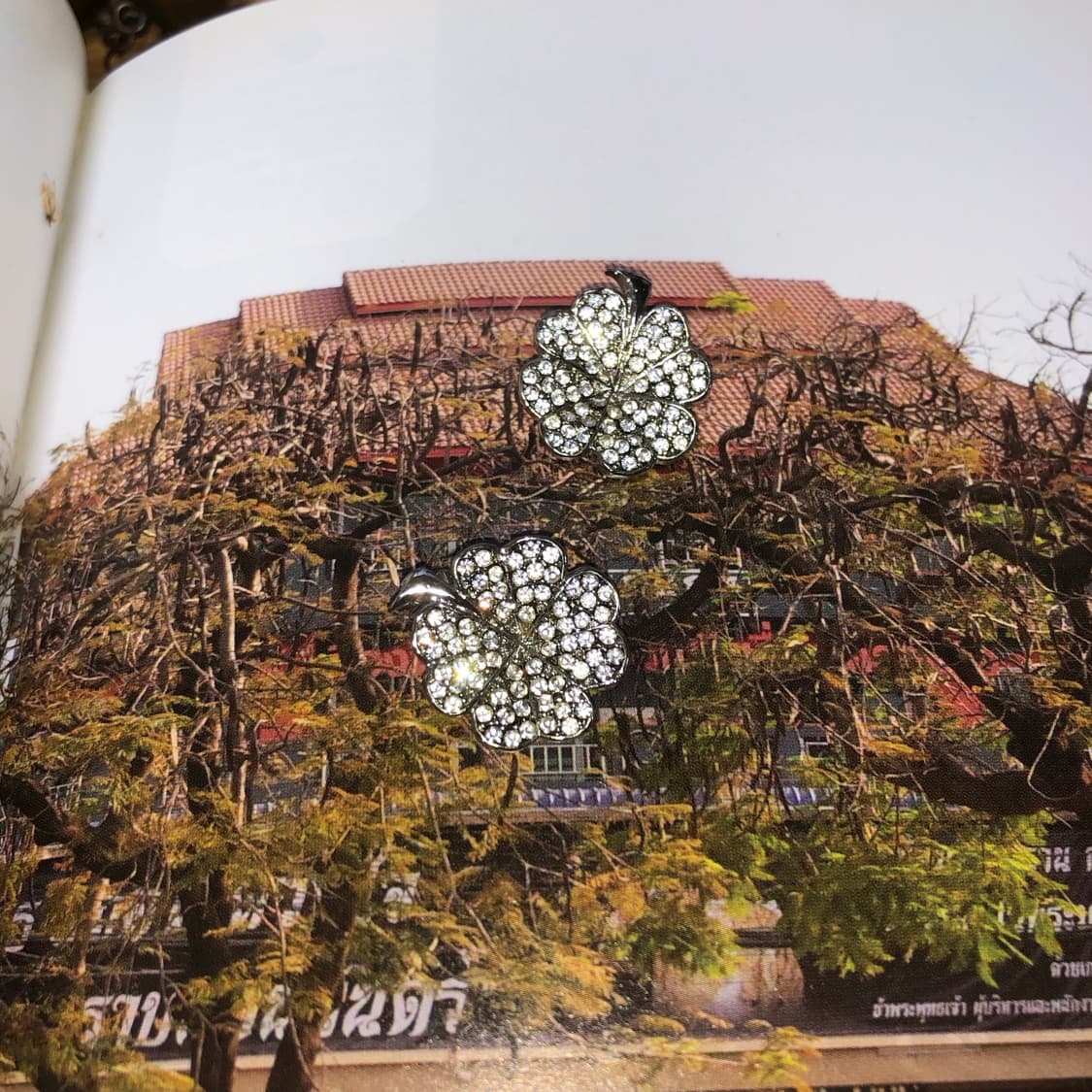 림보 결과 1 🪥  상품이미지4