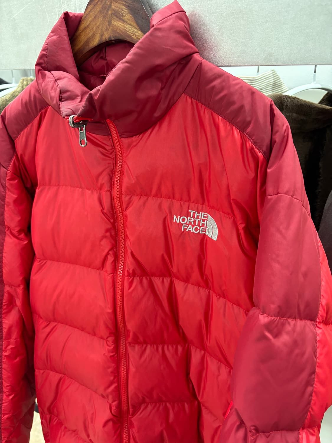 The North Face 눕시 600 상품이미지4