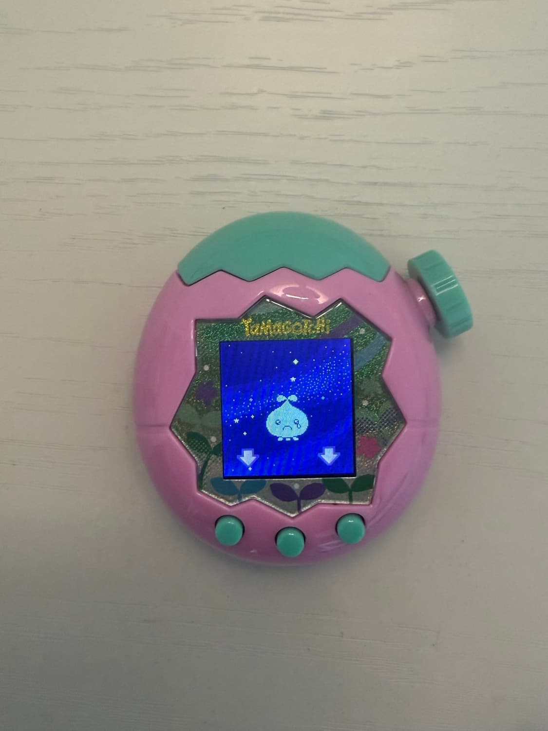 다마고치 파라다이스 7만원 상품이미지2