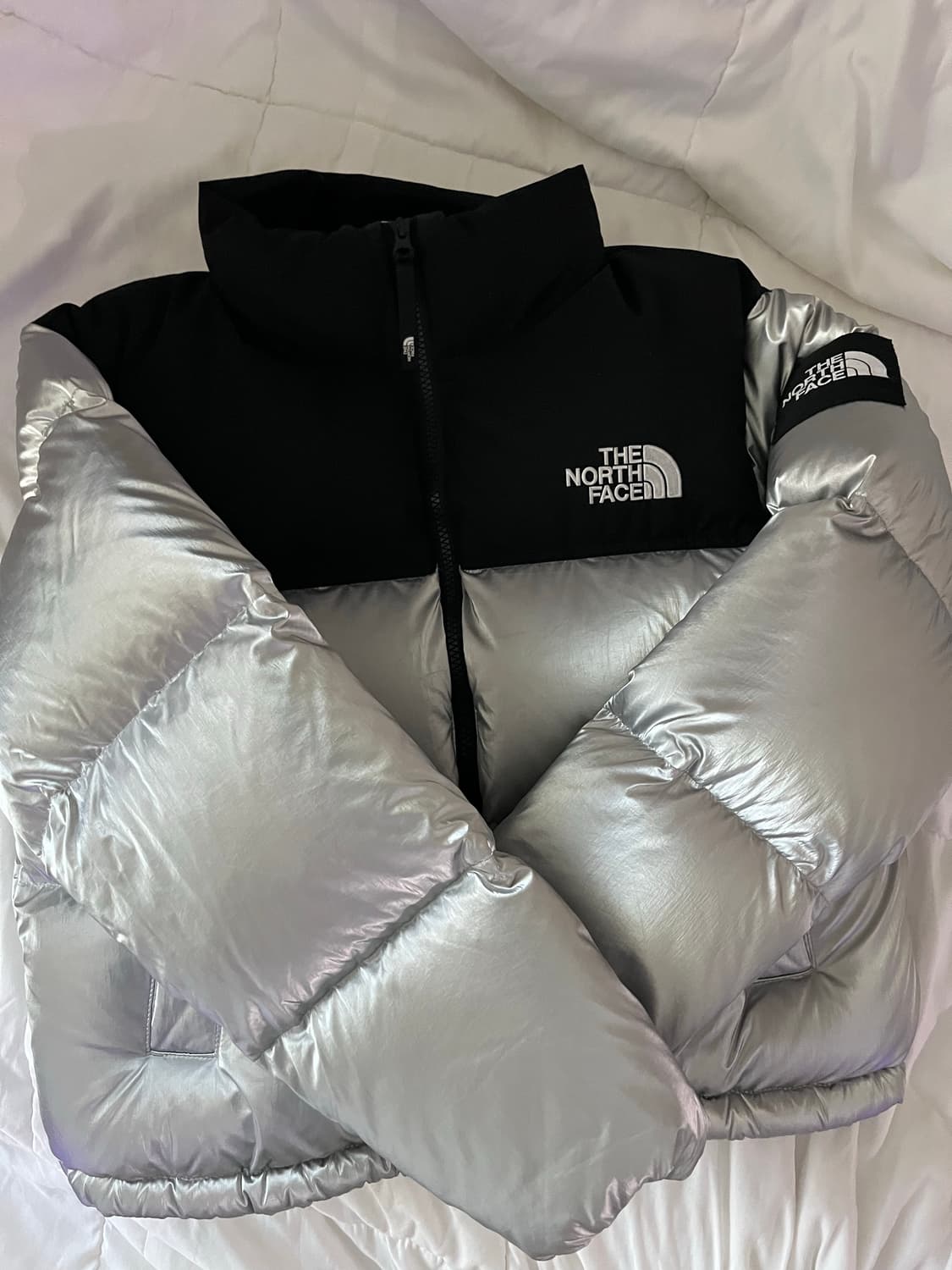 노스페이스 라벨 노벨티 눕시 실버패딩 상품이미지2