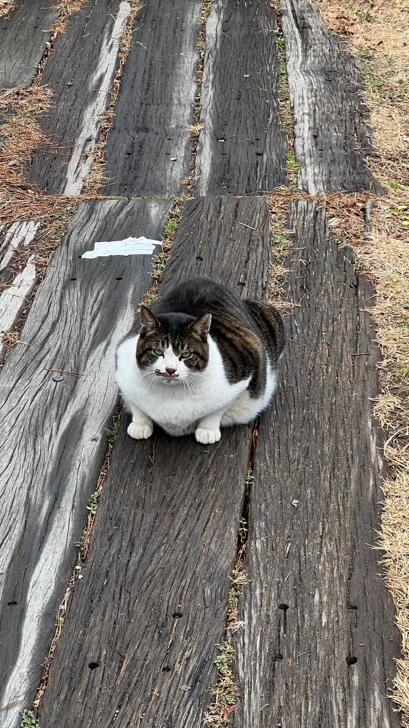 결제창 상품이미지1