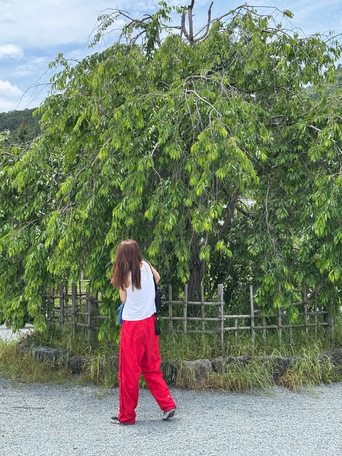 빈티지 챔피온 레드 스냅 나일론팬츠 상품이미지2