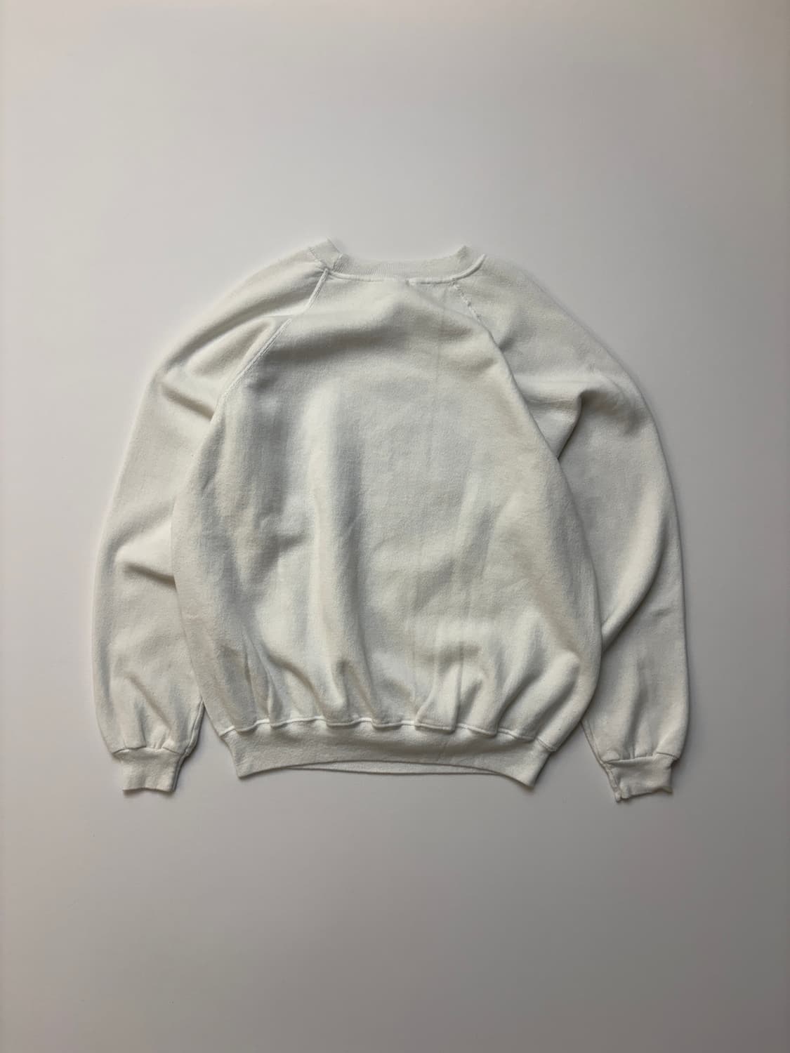 [XL] Hanes USA X-RAYSAURUS 스웻셔츠 상품이미지5