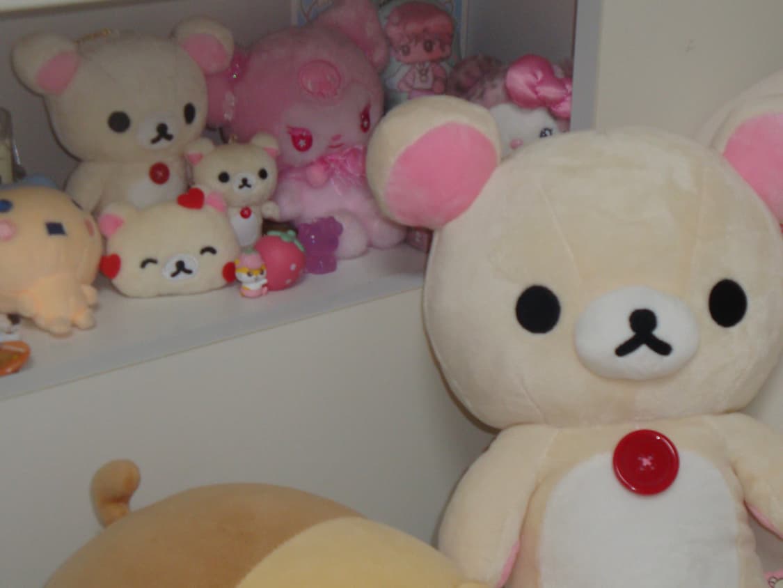 소니 사이버샷 dsc-w170 디카 상품이미지9