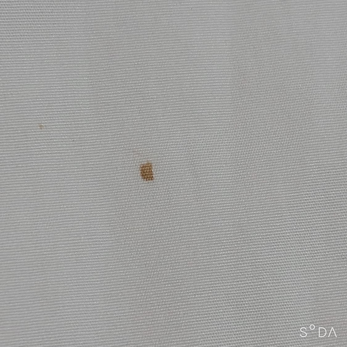 프라다 화이트 반팔 셔츠 40 상품이미지8