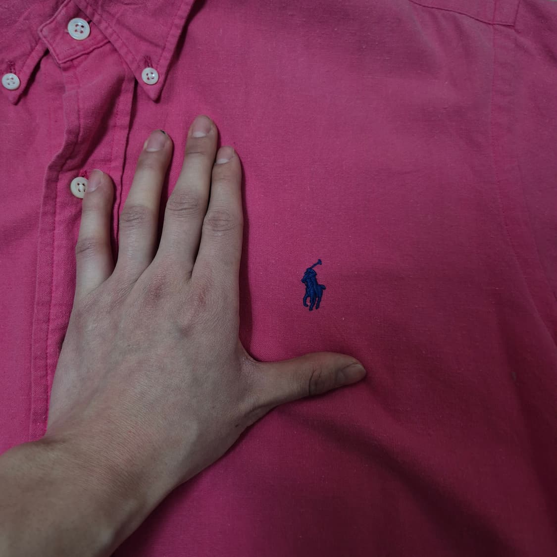 폴로 랄프로렌 스몰포니 코튼 반팔셔츠 M(95) 상품이미지4