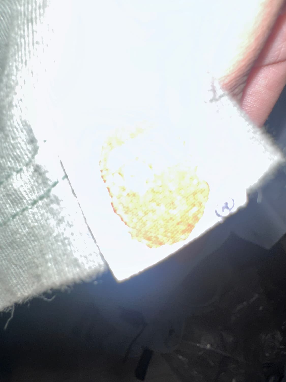 [S]00‘s 올드 베이프 컬리지 로고 티셔츠 상품이미지4