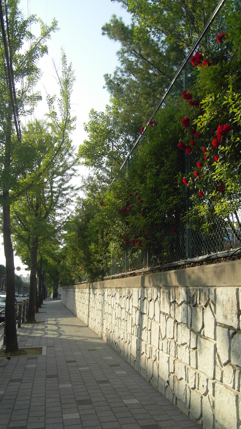 삼성 VLUU NV 100HD 디지털카메라  상품이미지8