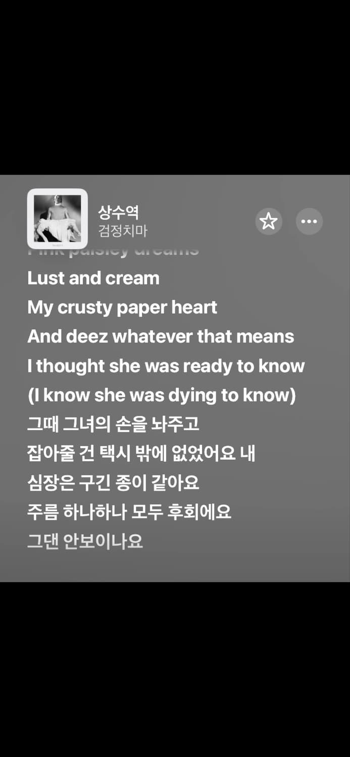 검정치마 상수역 에코백 상품이미지3