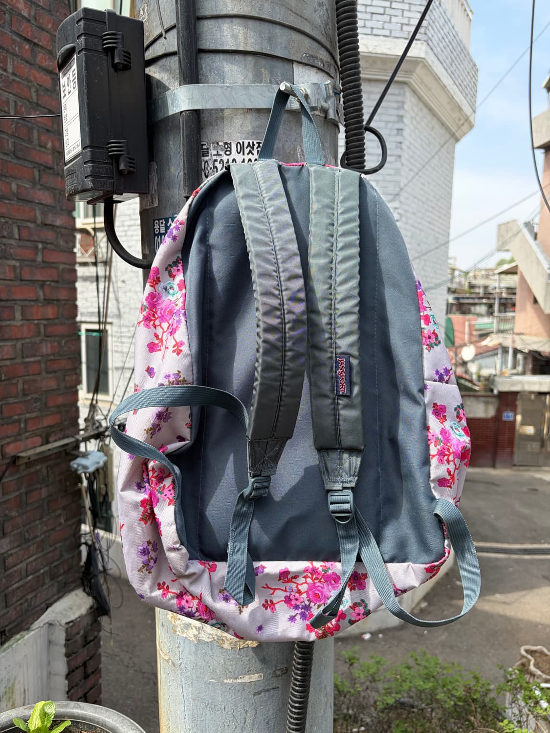 JanSport 플로럴 백팩 상품이미지2