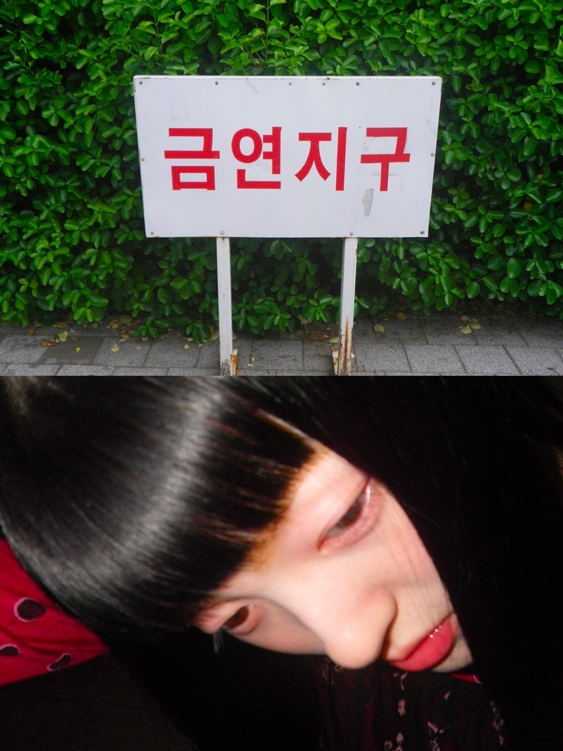 🦄펜탁스 옵티오 WS80 화이트🦄 빈티지 디카〰️주인장 최애 디카 상품이미지7