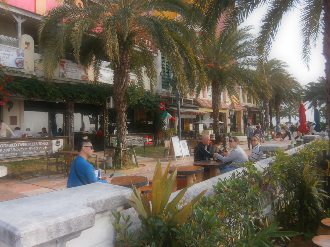 올림푸스 VH-210 화이트 풀박스 빈티지디카 상품이미지10