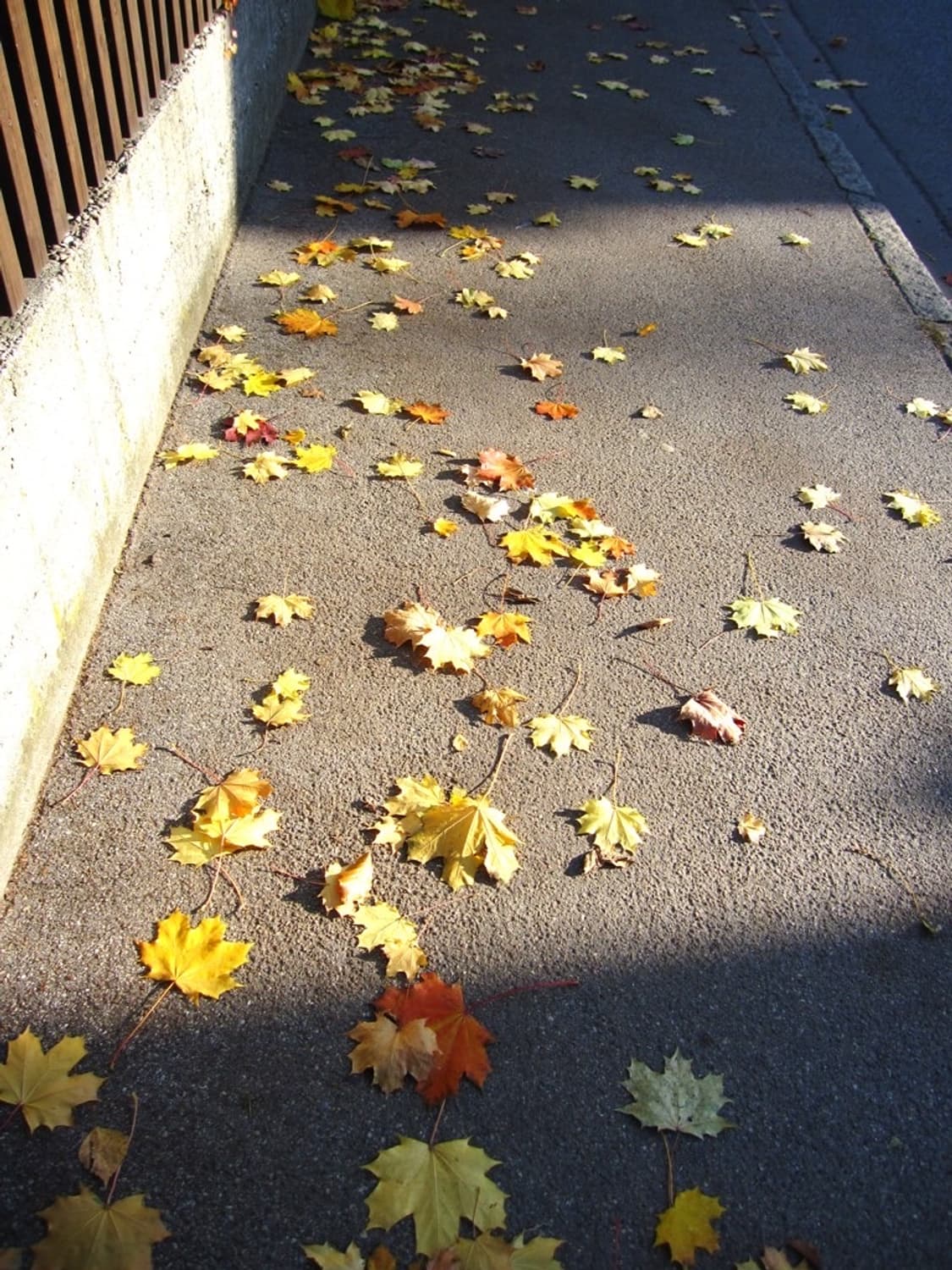 캐논 익서스 Canon IXUS 110 IS 핑크 상품이미지4
