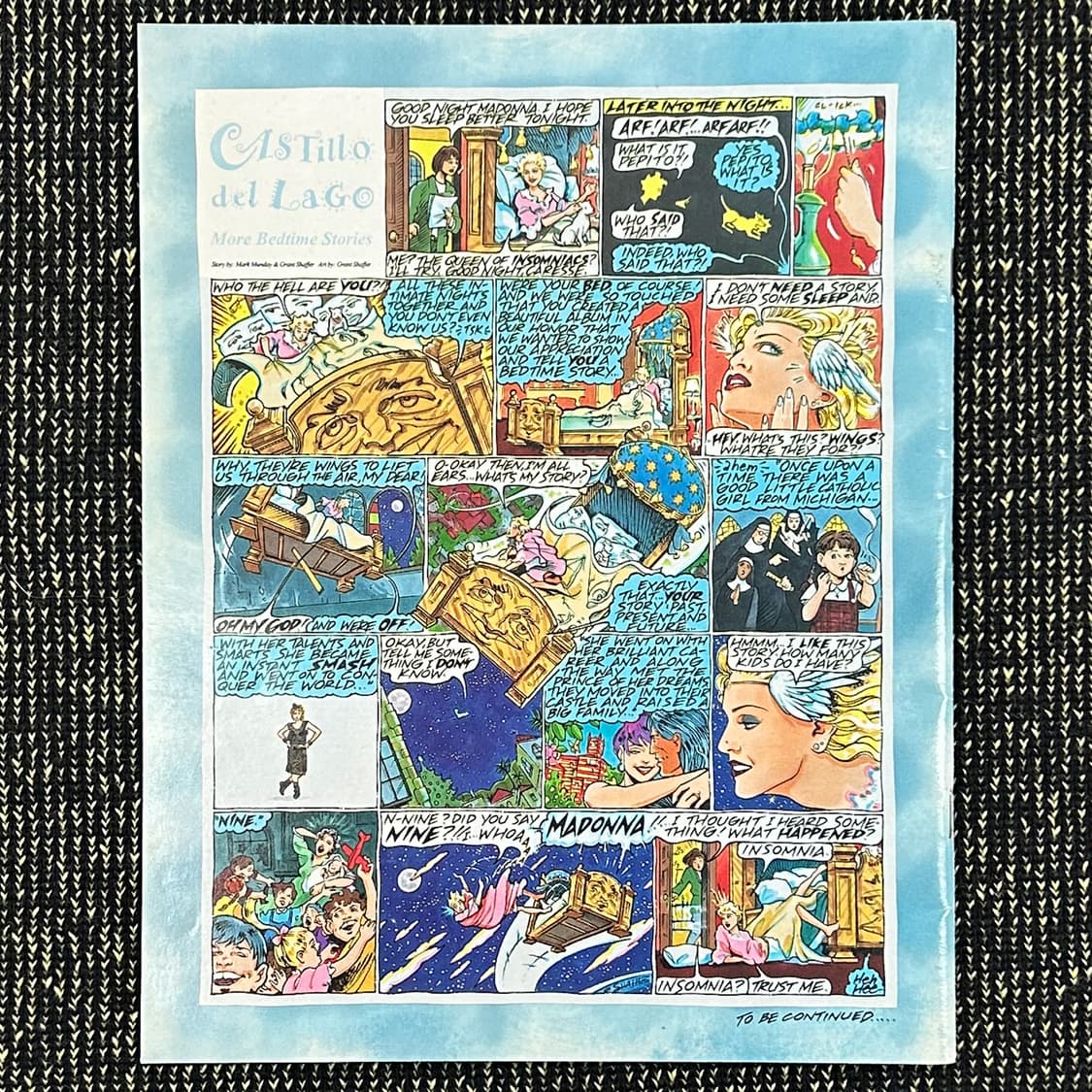 마돈나 Madonna 1 994년 팬진 ICON 해외서적 희귀서적 아트북 상품이미지2