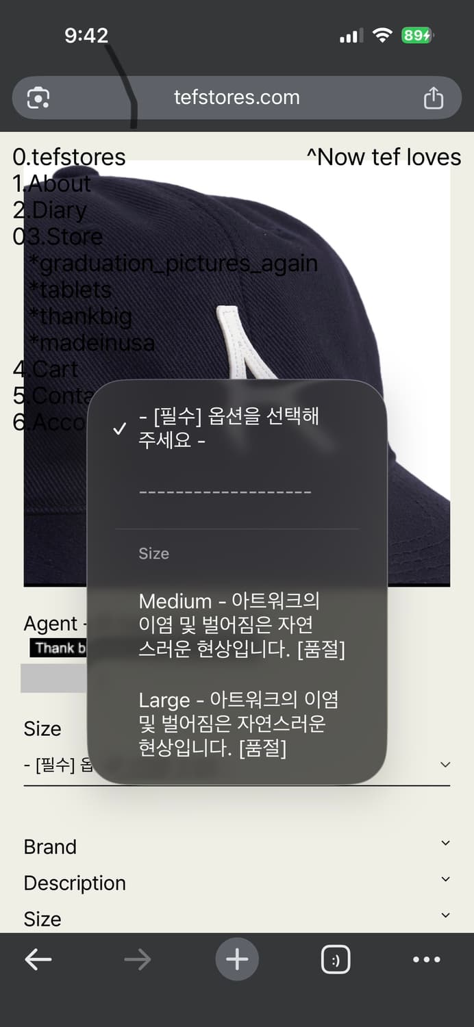 테프스토어 테프스토어즈 agent 볼캡 캡 모자 다크네이비 M 상품이미지9