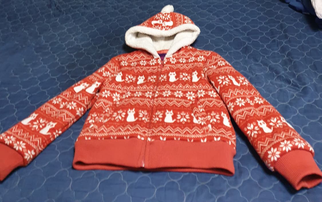 더데이걸즈 양털 후드 집업자켓 (S) 상품이미지1