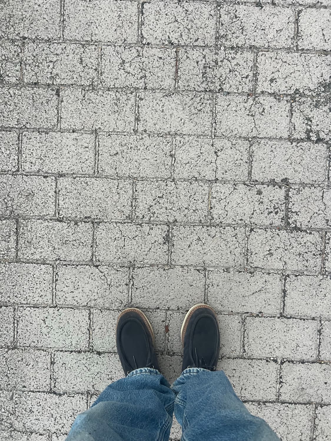 스투시 닥터마틴 왈라비 슈즈 상품이미지3