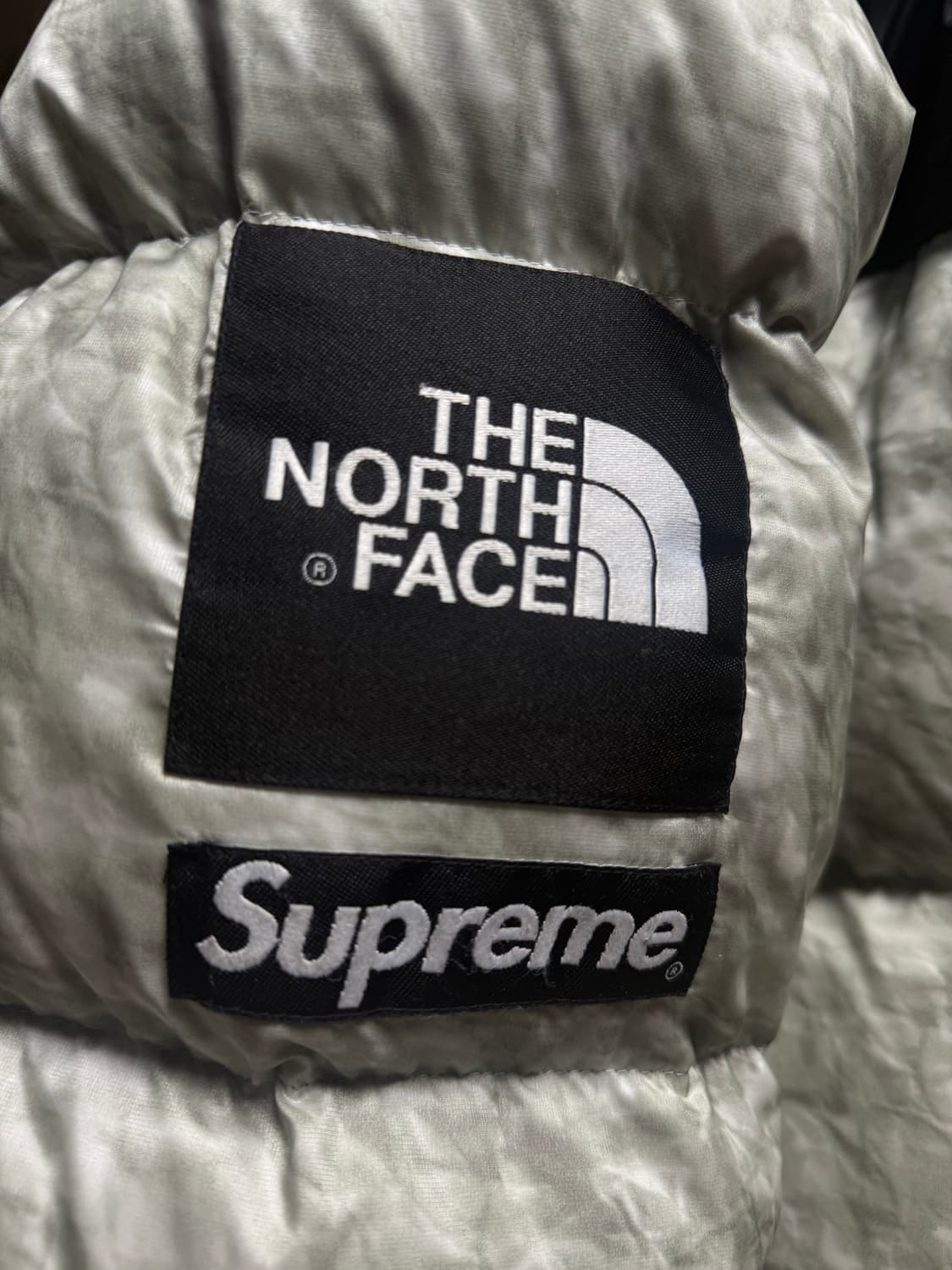 슈노 페이퍼눕시 19FW XL 상품이미지5