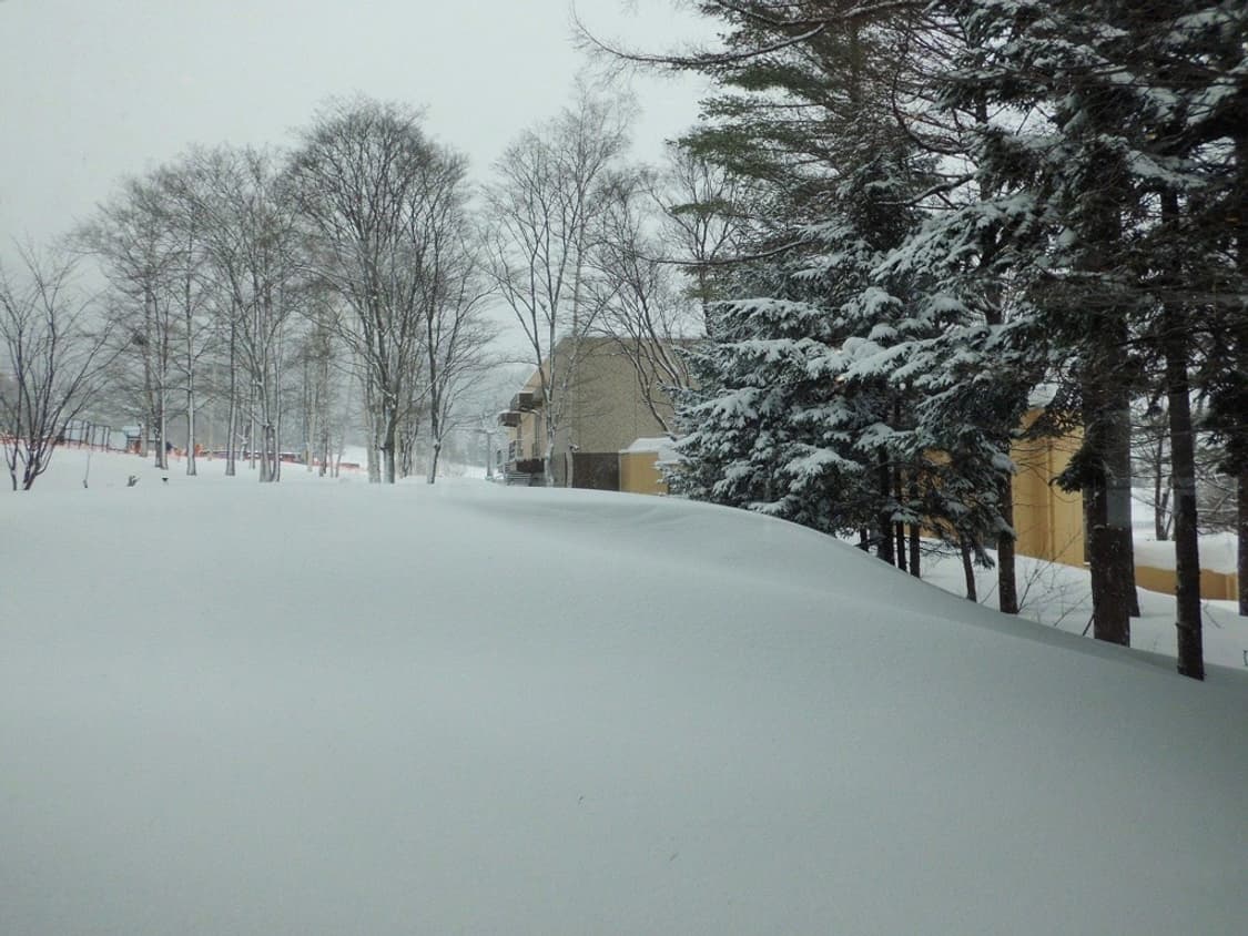 카시오 엑슬림 Casio Exilim EX-Z780 실버 상품이미지4