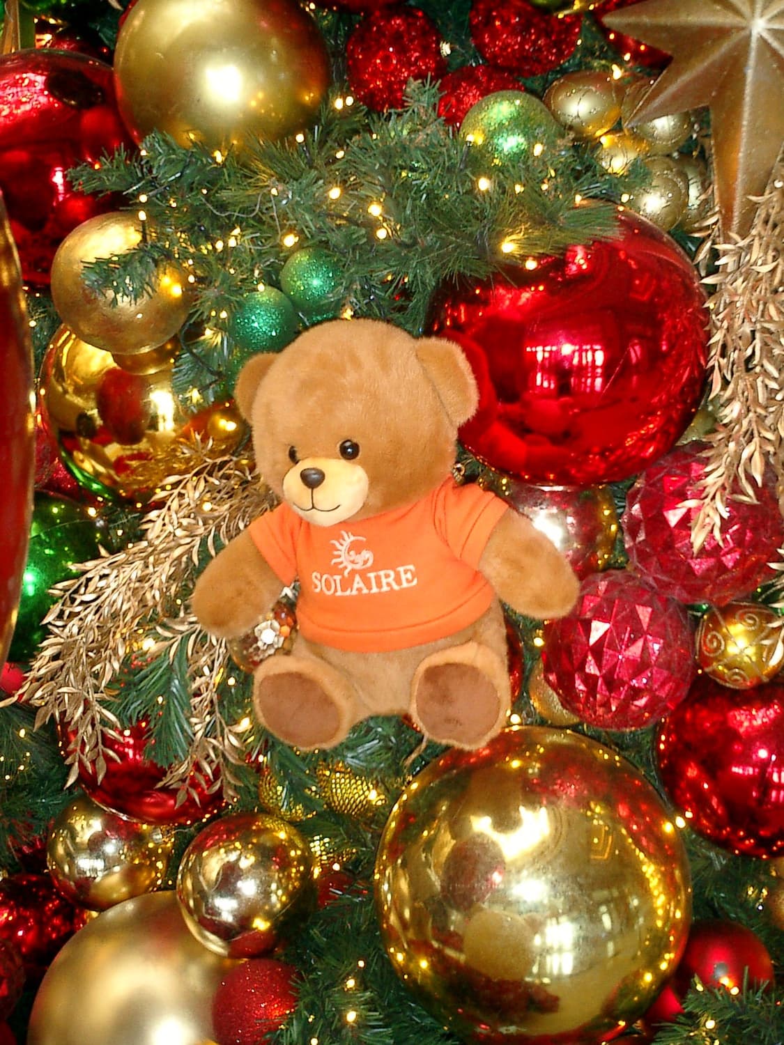 초슬림! Casio Exilim EX-S2  상품이미지6