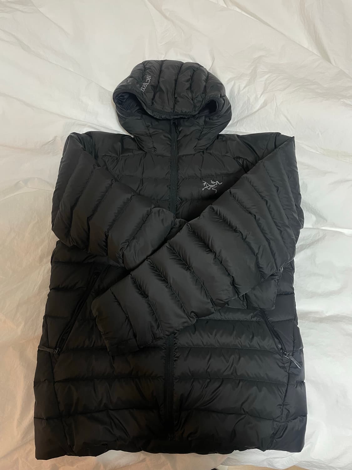 아크테릭스 세륨 후디 블랙 S 상품이미지3