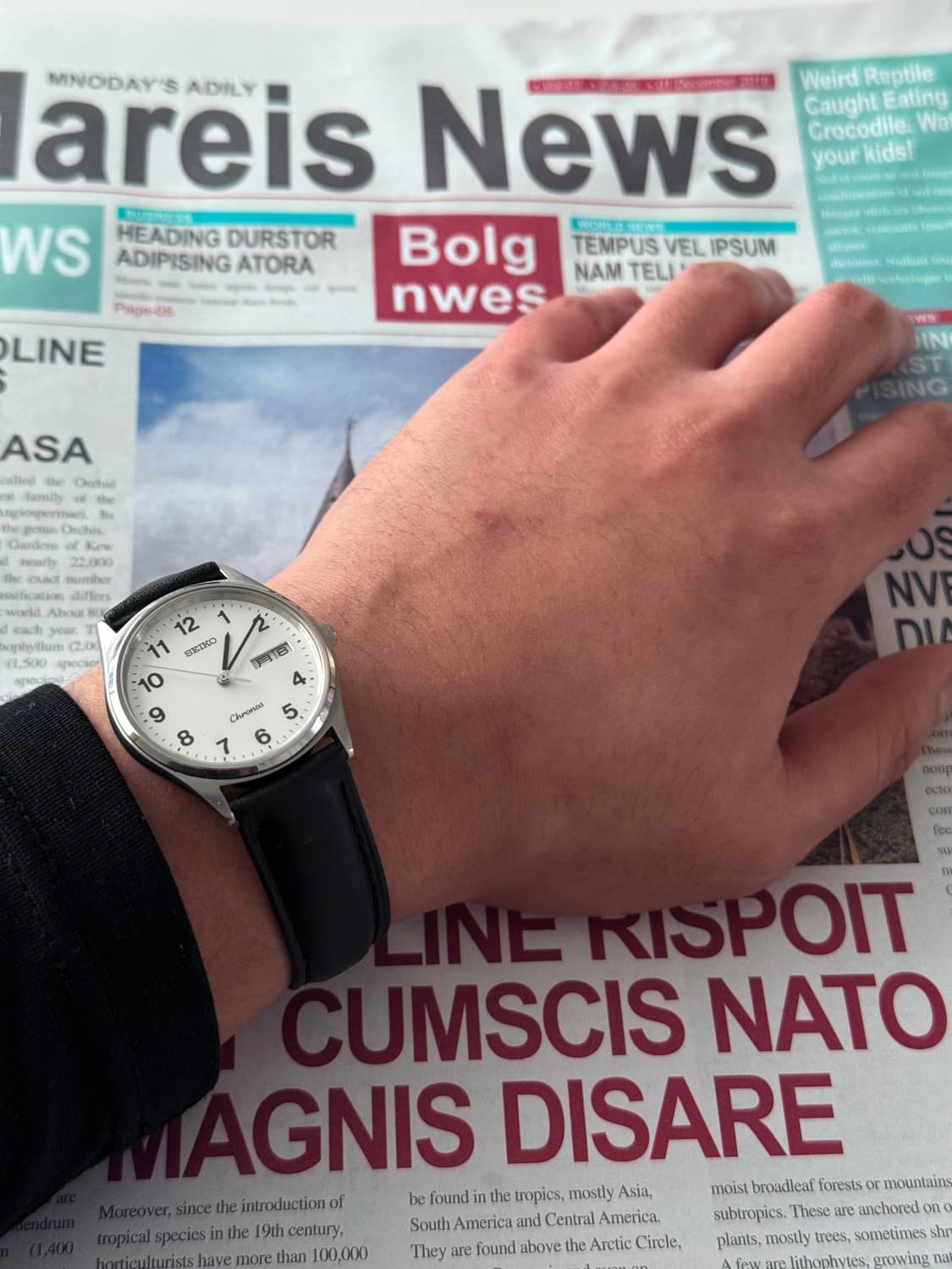 세이코 Seiko 크로노스 래더 상품이미지4