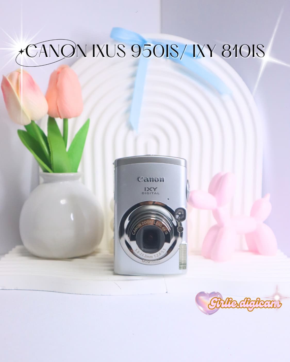 토모토모의픽!))  캐논 익서스950is/익시 810is 상품이미지1
