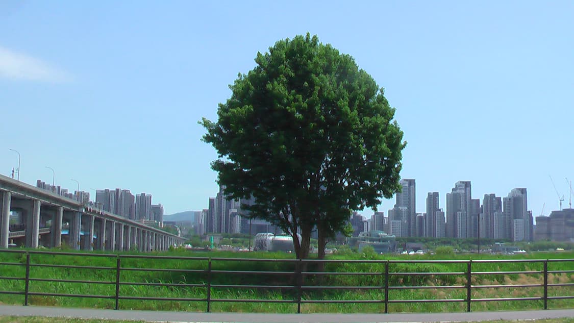 파나소닉 빈티지 캠코더 HDC-SD7 블랙 상품이미지5