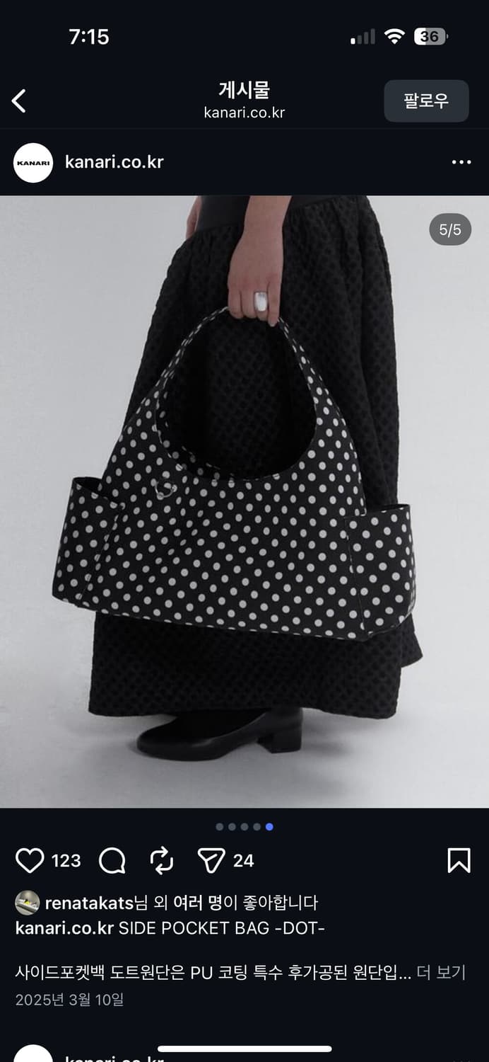 Kanari 사이드포켓 도트백 상품이미지2