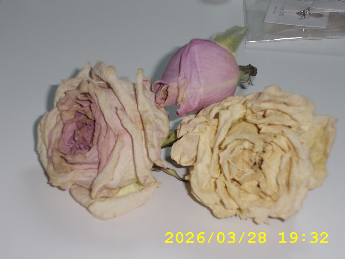 삼성 케녹스 D4 | 작례 O 상품이미지6