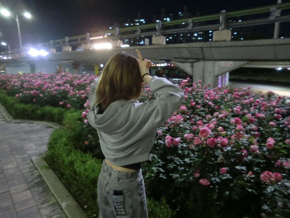 (풀박,작례o) 카시오 Casio 엑슬림 ex z550 차정원디카 상품이미지5