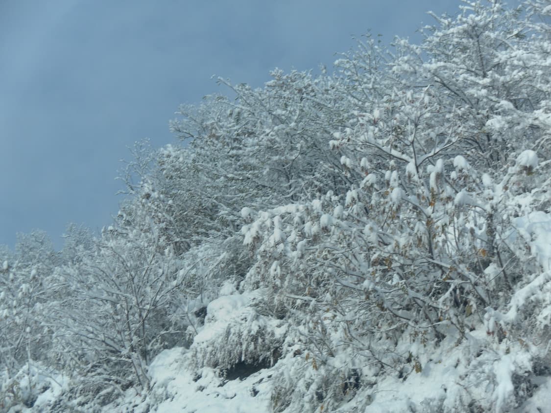 입문&강추!) Samsung VLUU M300W 디카 카메라 상품이미지2