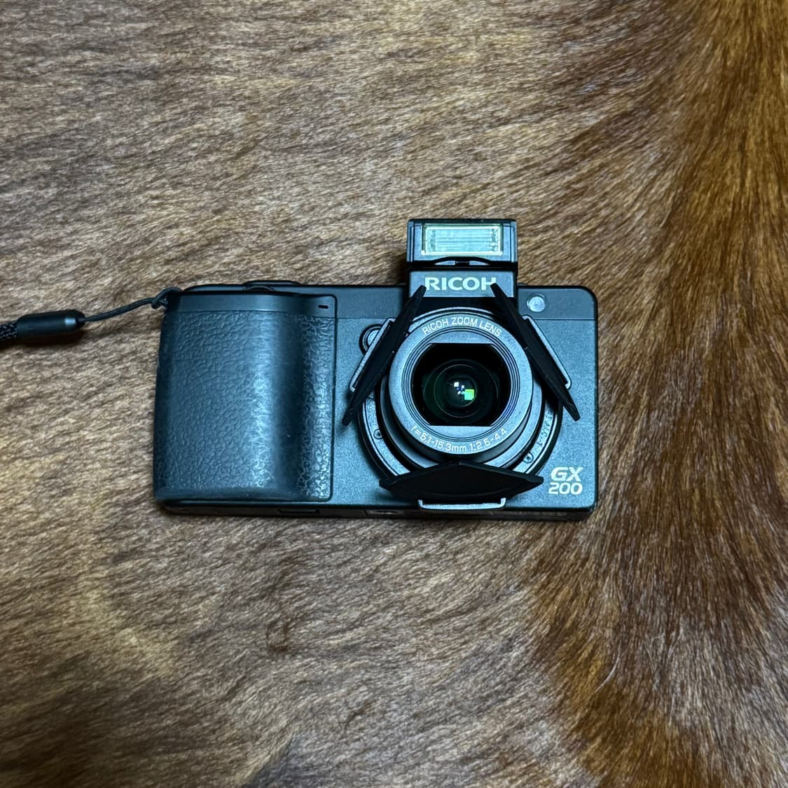 Ricoh GX200 리코 상품이미지2