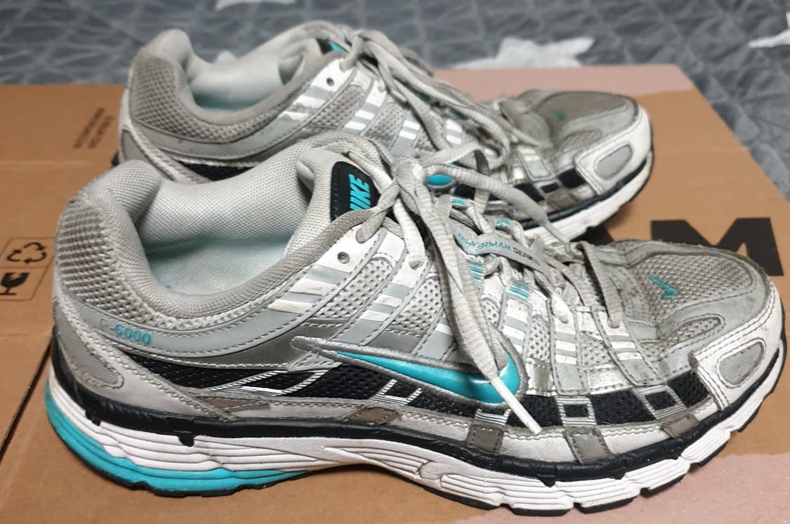 나이키 P-6000 메탈릭실버 더스티 캑터스 (250)CD6404-103 상품이미지1