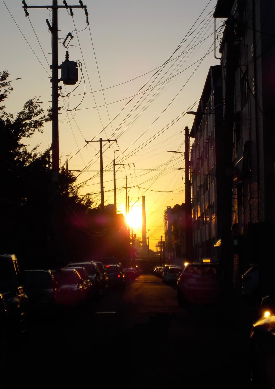 니콘 쿨픽스so2 (희귀) 블루디카 + 가죽케이스+USB 묶어서 팜 상품이미지8