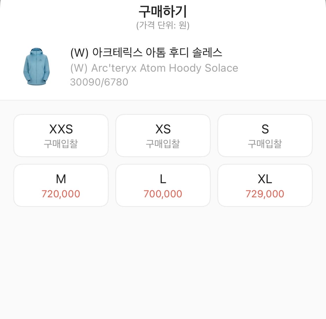 아크테릭스 아톰 솔레스 L 상품이미지2