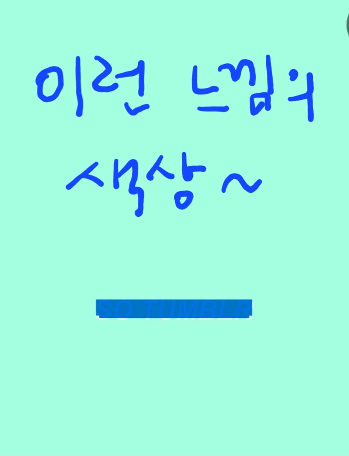 샤틴 트위드자켓 상품이미지9