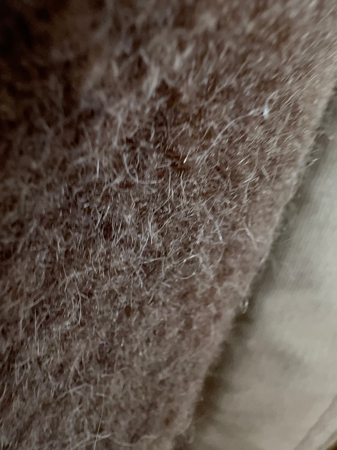 cootie productions 카키 점퍼 XL 상품이미지7