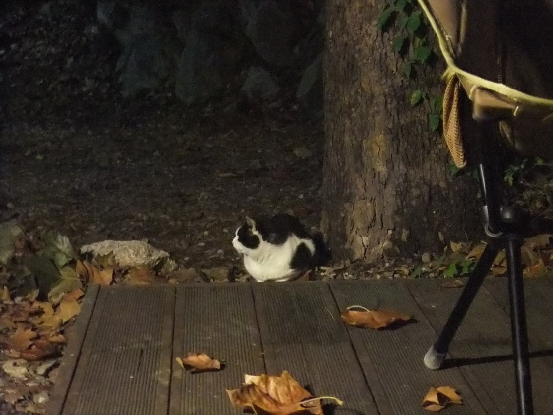 (작례o) 빈티지카메라 Fujiflim Finepix AX300 후지필름 상품이미지8