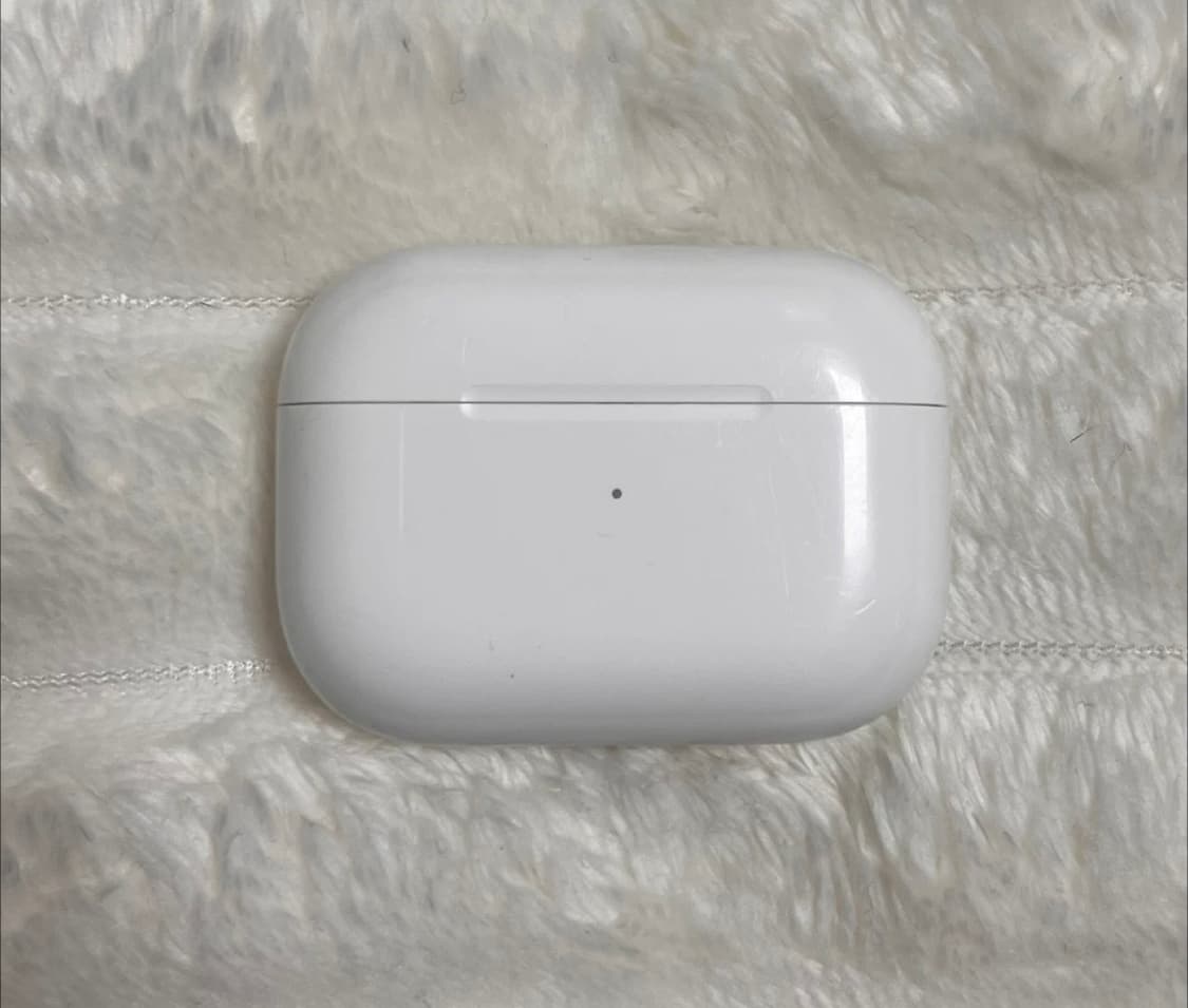에어팟 프로 1세대 (맥세이프 모델) 상품이미지2
