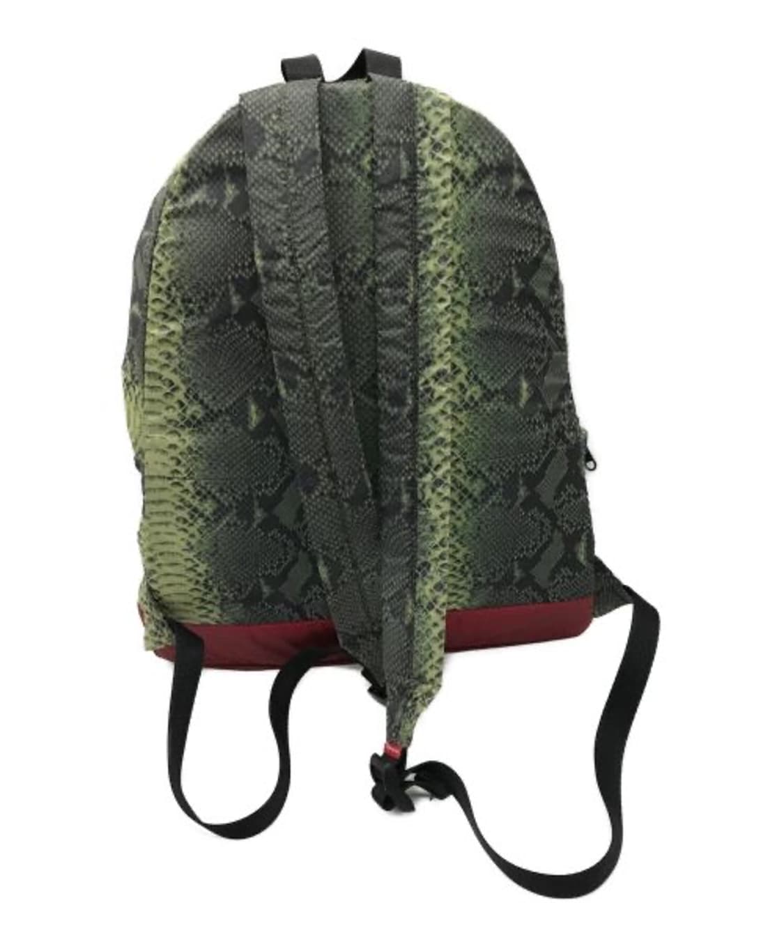 SUPREME x NORTH FACE 상품이미지2