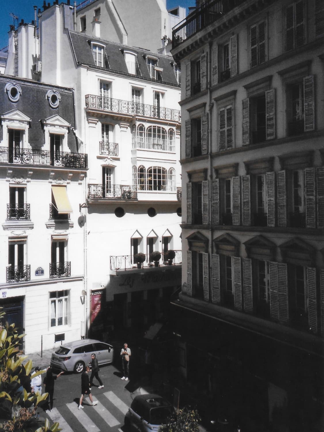 라이카 미니 상품이미지5