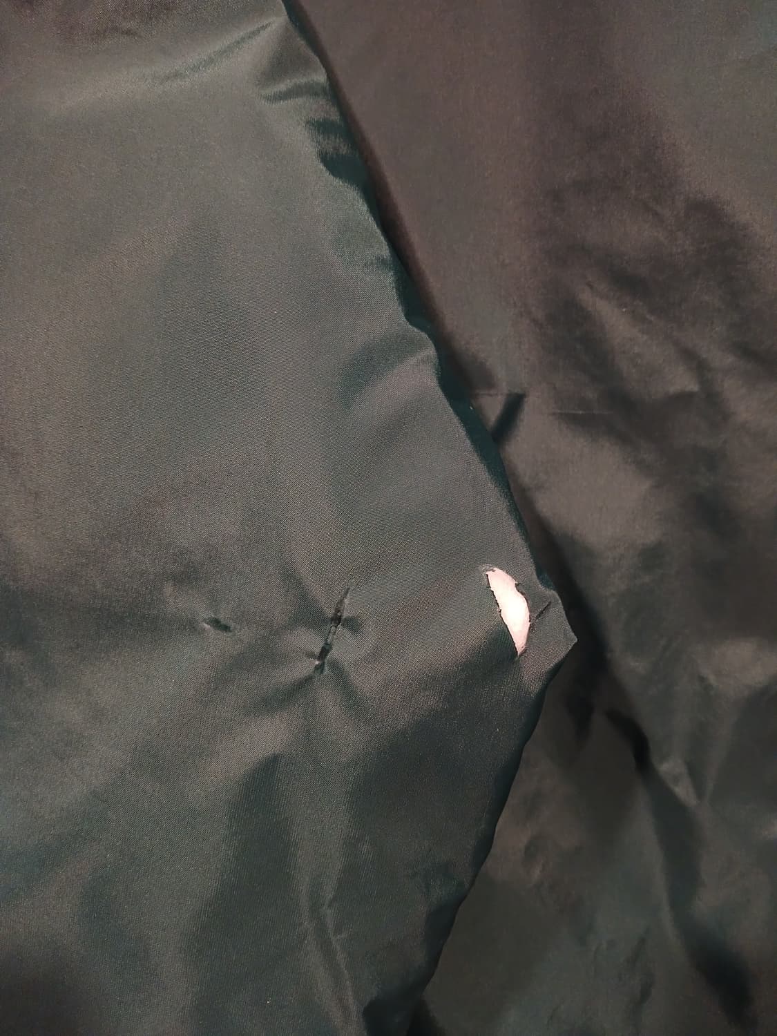 칼하트 WIP 코치 자켓 상품이미지4