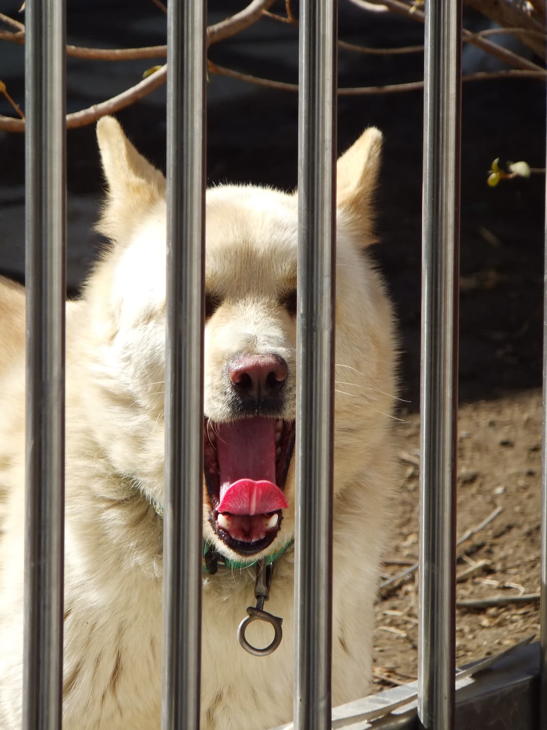 (작례있어요) Fujifilm finepix F550EXR 상품이미지10