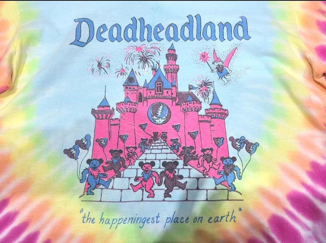 ONEITA 그레이트풀 데드 데드헤드랜드 타이다이 빈티지티셔츠 상품이미지2